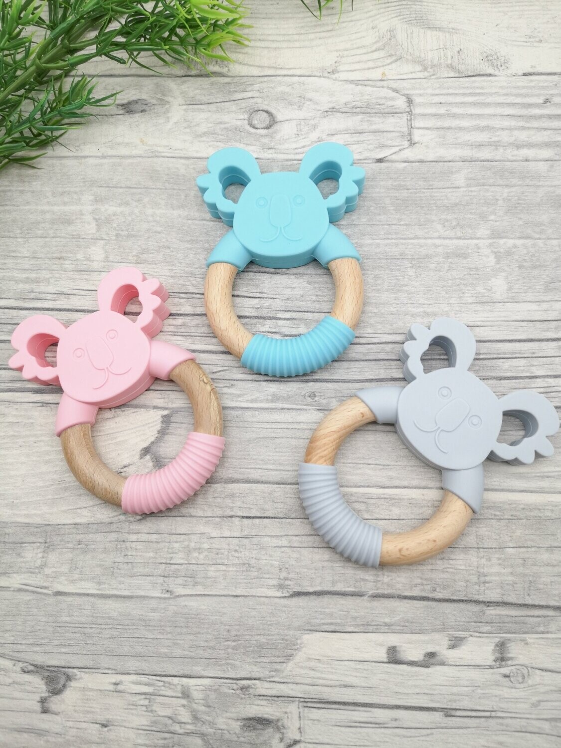 Beißring Koala