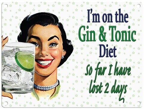 Gin lost 2 Days Metal Sign