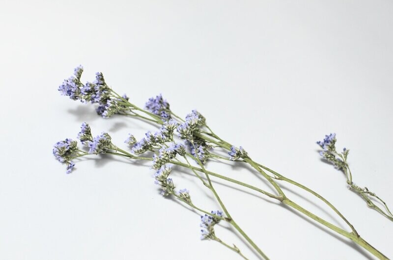Dried Lavender