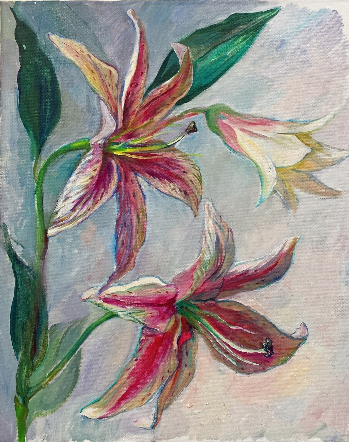 Lilies