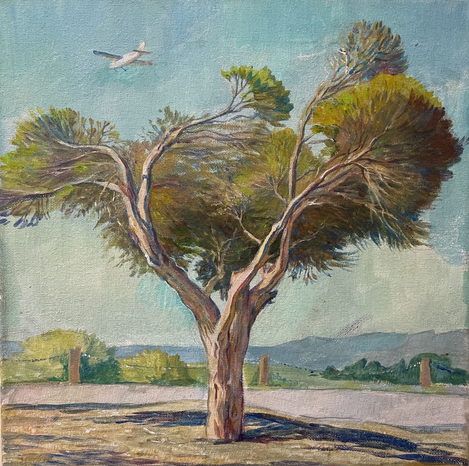 Bay Lands Park - Small Airplane