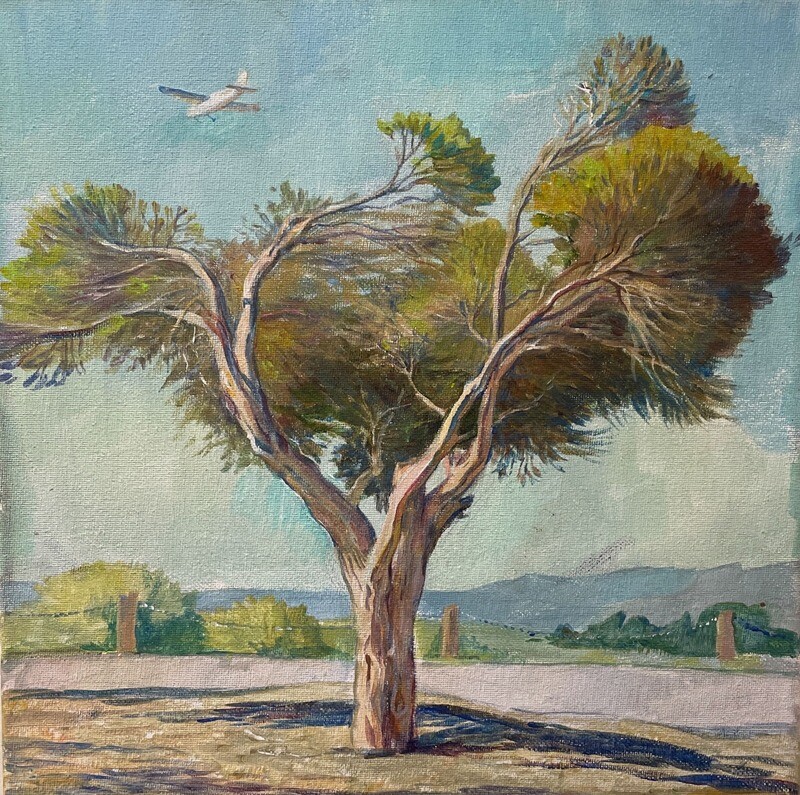 Bay Lands Park - Small Airplane