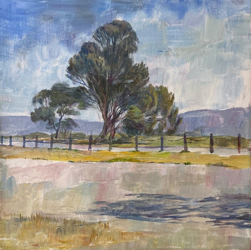 Bay Lands Park - Palo Alto