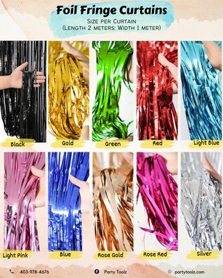 2pks Foil Fringe Curtain
