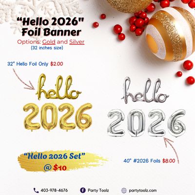 Christmas and New Year Theme Decorations