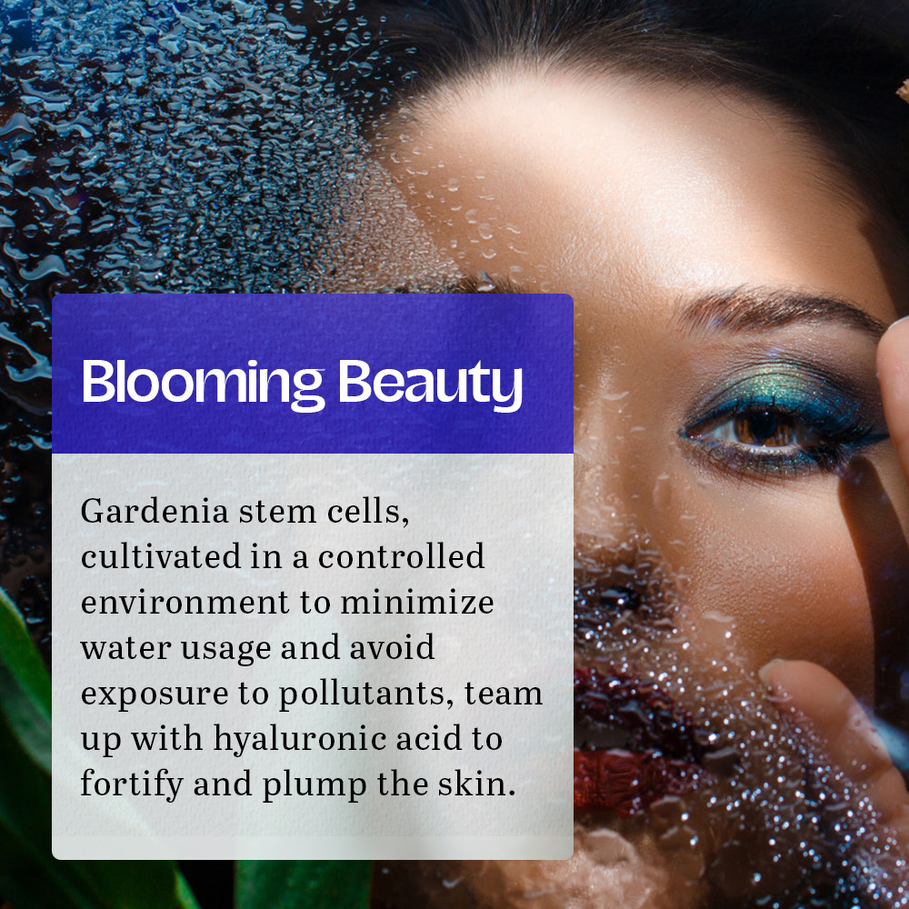 Almoes Frankincense For Face And dark circles Under Eye