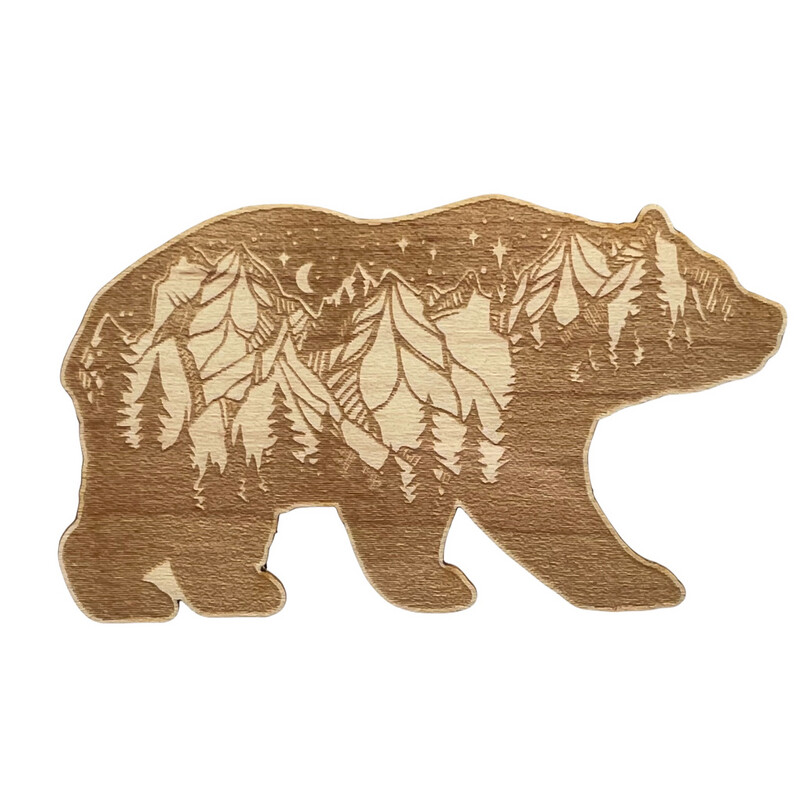 NORTHERN LIGHTS BEAR