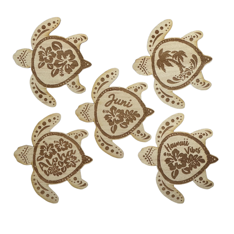 HAWAIIAN SEA TURTLE SET