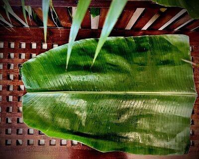 Banana leaf (Head) / வாழை இலை (தலை)