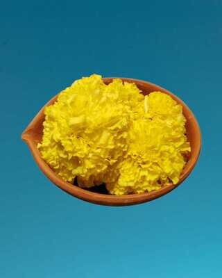 Yellow Marigold / மஞ்சள் சாமந்தி