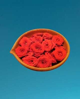 Red Rose / சிவப்பு ரோஜா