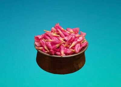 Pink Aralli / ஆரல்லி