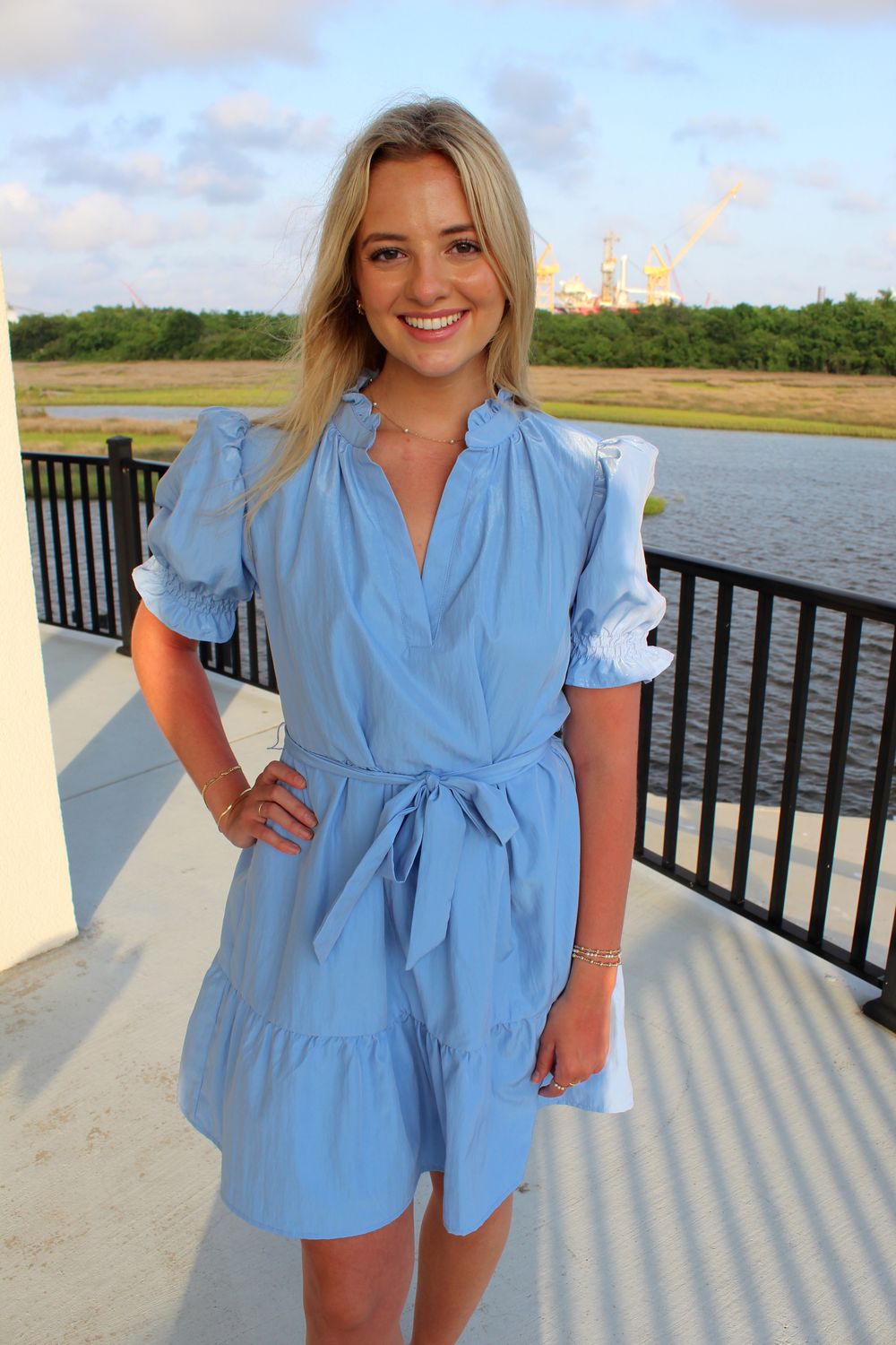 Alena Mini Dress