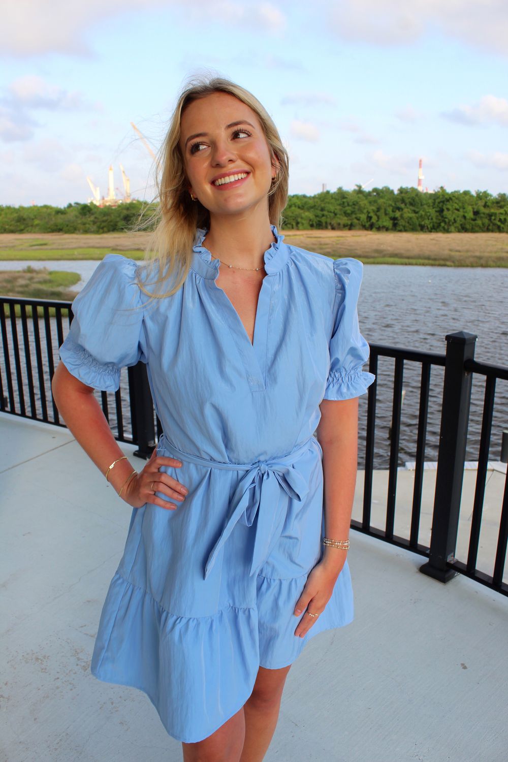 Alena Mini Dress