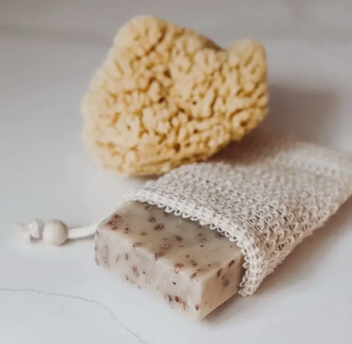 Sea Sponge