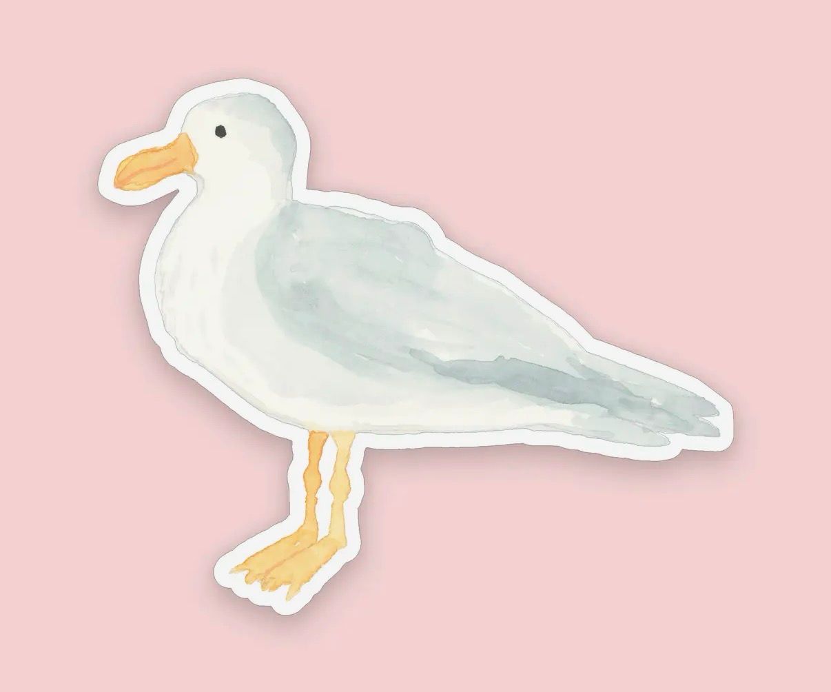 Seagull Sticker