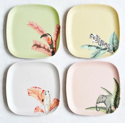 Melamine Plates