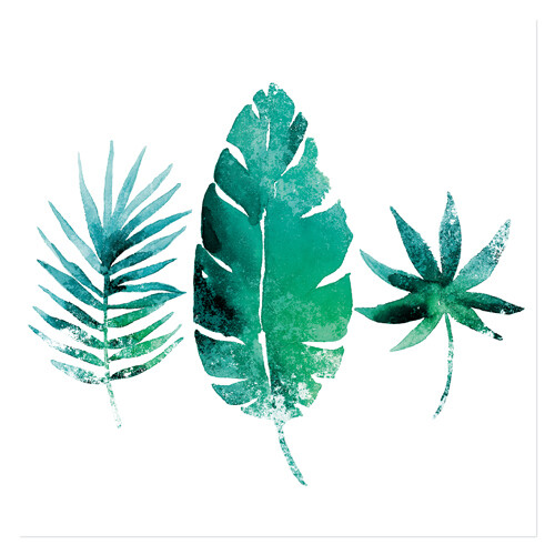 Dinner napkins 3-Layer 40 x 40 cm 20 pcs. &quot;Three Exotic Leaves&quot;