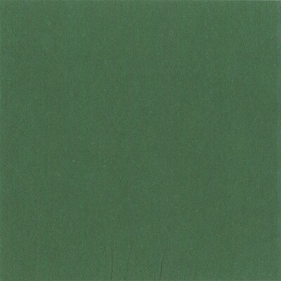 Lunch napkins 3-Layer 33 x 33 cm 20 pcs. Oriental Green