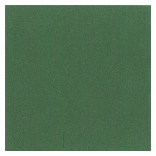 Dinner napkins 3-Layer 40 x 40 cm 20 pcs. Oriental Green