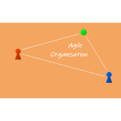 Themenfeld Agile Organisation