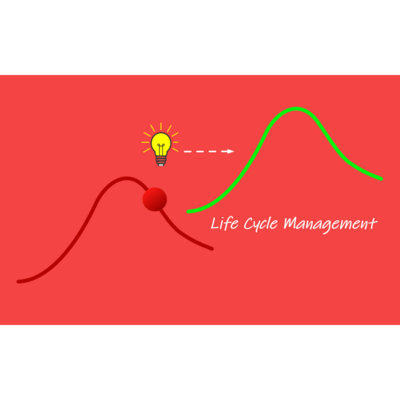 Themenfeld Life Cycle Management