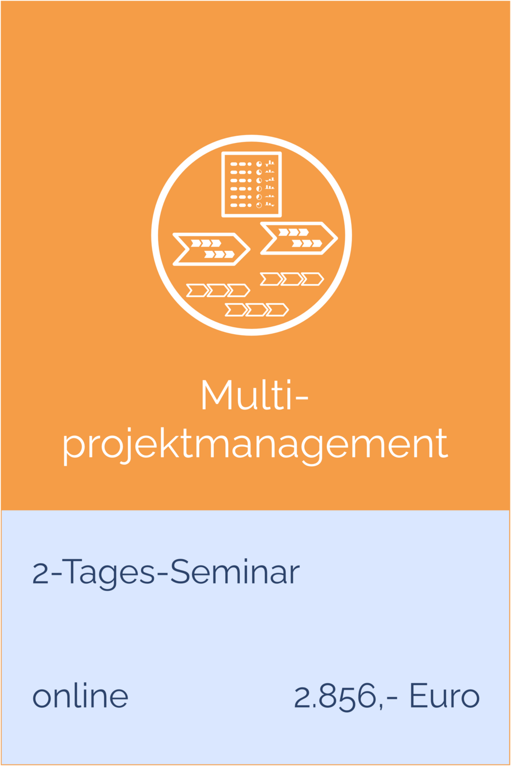 Multiprojektmanagement Online 2-Tages-Seminar