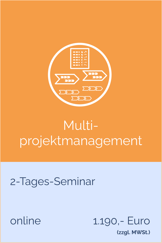 Multiprojektmanagement Online 2-Tages-Seminar