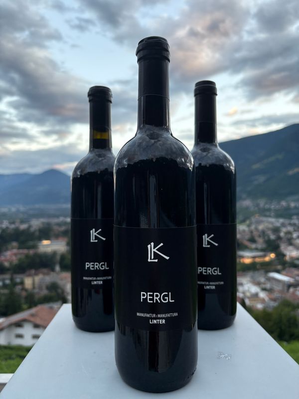 PERGL- Merlot Jahrgang 2021