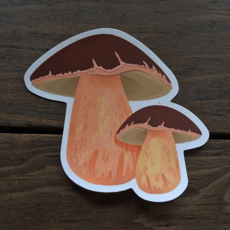Hongo - Marrónes (STICKER)