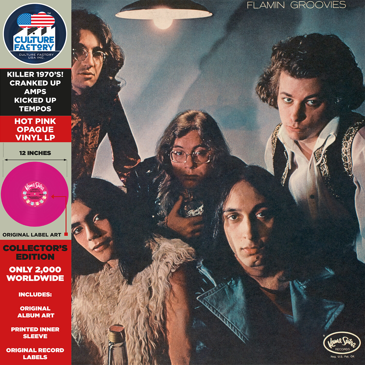 Flamin&#39; Groovies - Flamingo (1970)