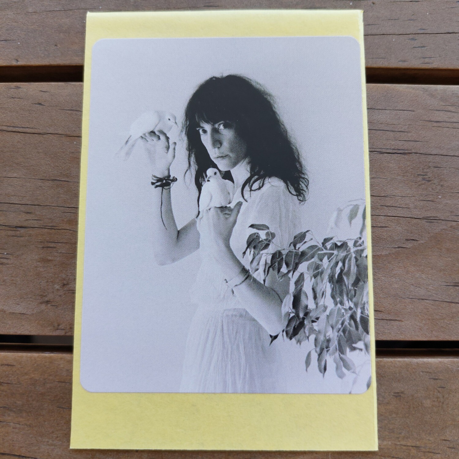 Patti Smith - Wave (STICKER)
