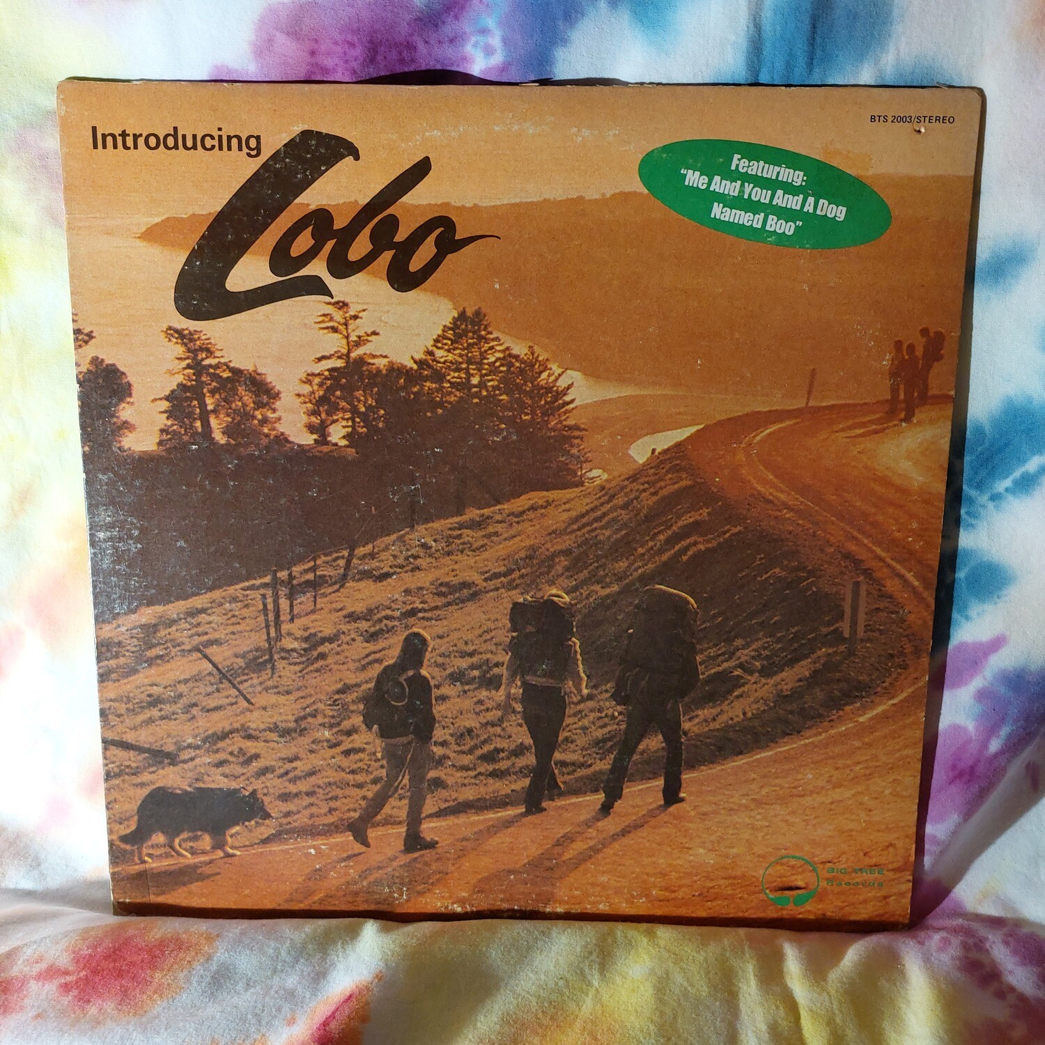 Lobo - Introducing Lobo (1971)
