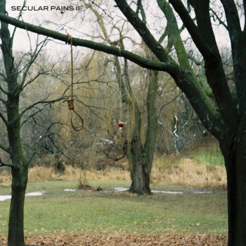 Secular Pains - II (2019)