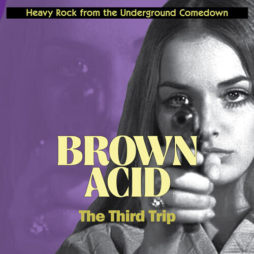 Varios Artistas - Brown Acid: The Third Trip (2016)
