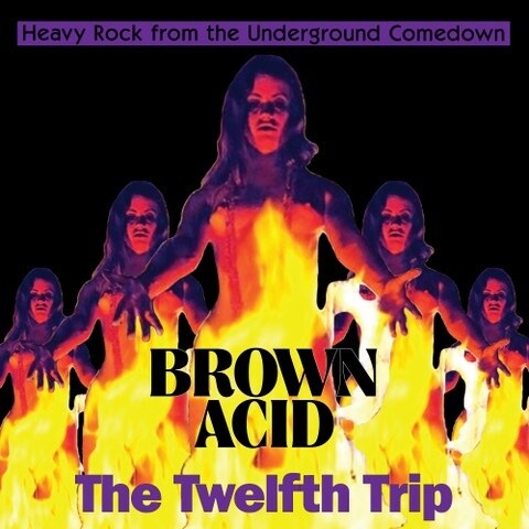 Varios Artistas - Brown Acid: The Twelfth Trip (2021)