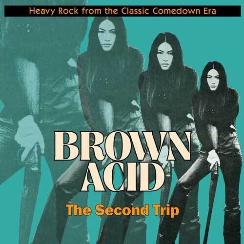 Varios Artistas - Brown Acid: The Second Trip (2016)