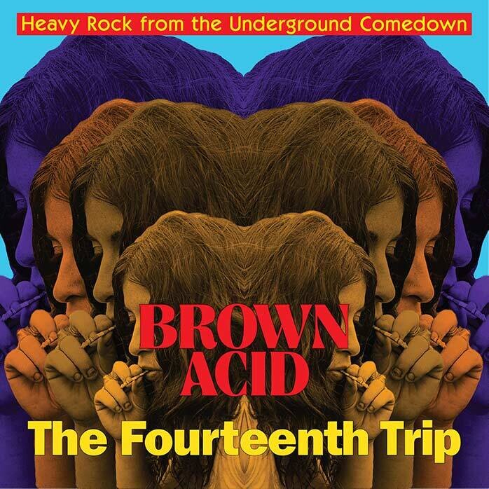Varios Artistas - Brown Acid: The Fourteenth Trip (2022)