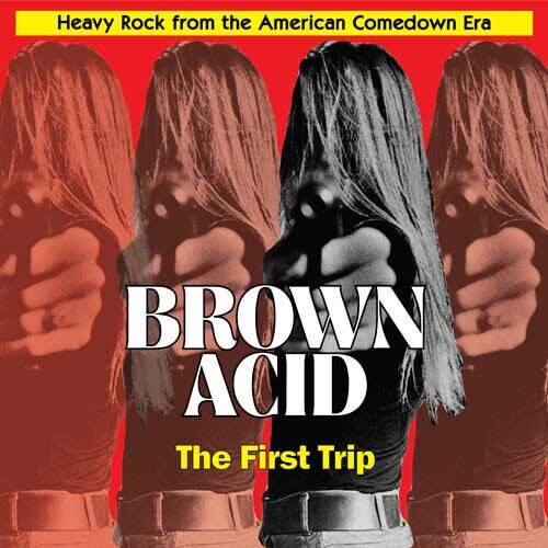 Varios Artistas - Brown Acid: The First Trip (2015)