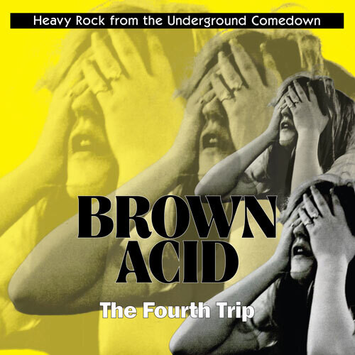 Varios Artistas - Brown Acid: The Fourth Trip (2017)