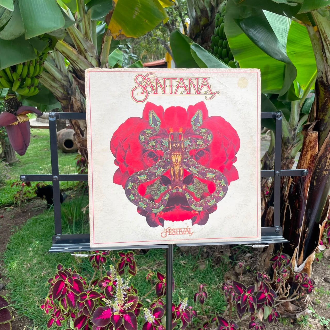 Santana - Festival (1977)