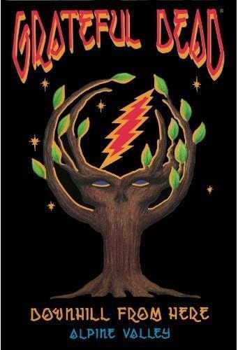 The Grateful Dead - Downhill from Here (DVD)