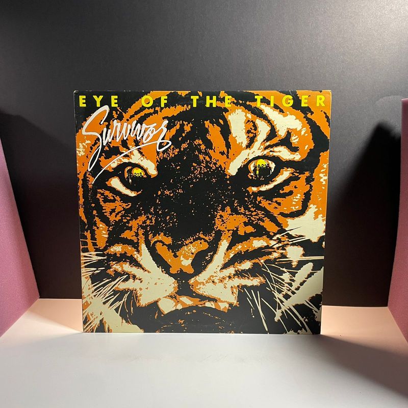 Survivor - Eye of the Tiger (1982)