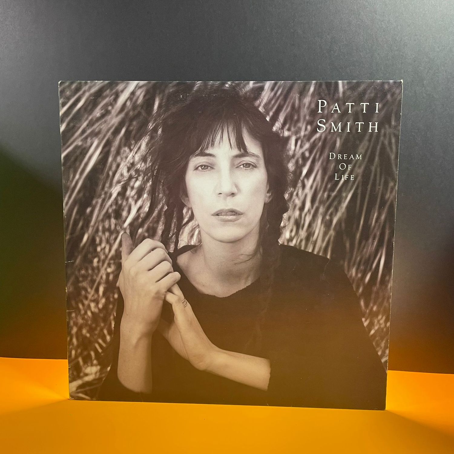 Patti Smith - Dream of Life (1988)