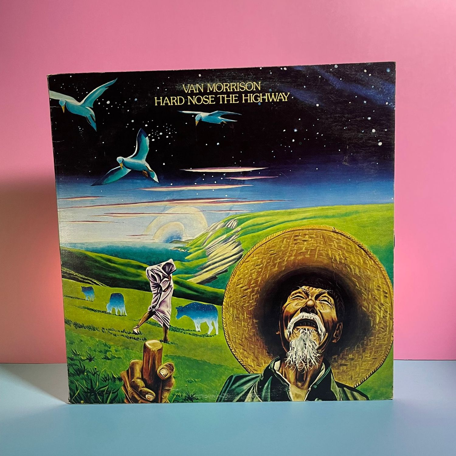 Van Morrison - Hard Nose the Highway (1973)