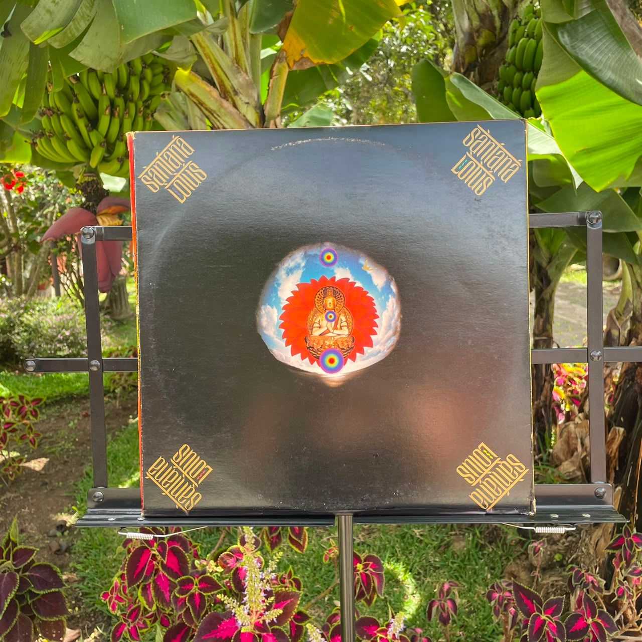 Santana - Lotus (1974) 3LP