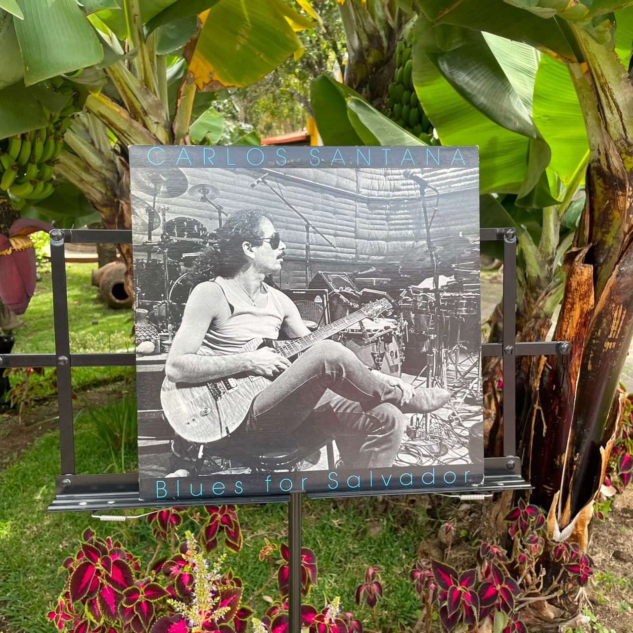 Carlos Santana - Blues for Salvador (1987)