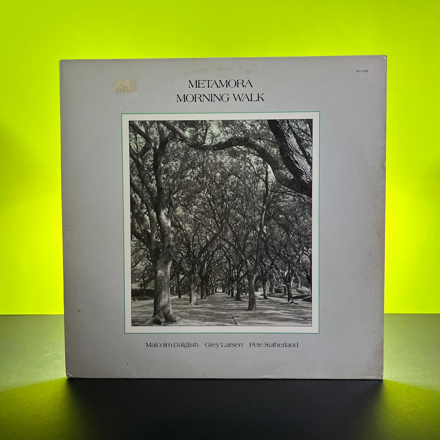 Metamora - Morning Walk (1988)