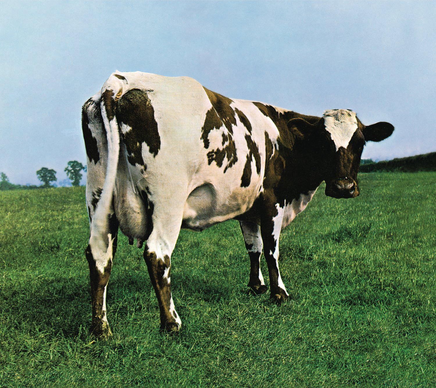Pink Floyd - Atom Heart Mother (CD)