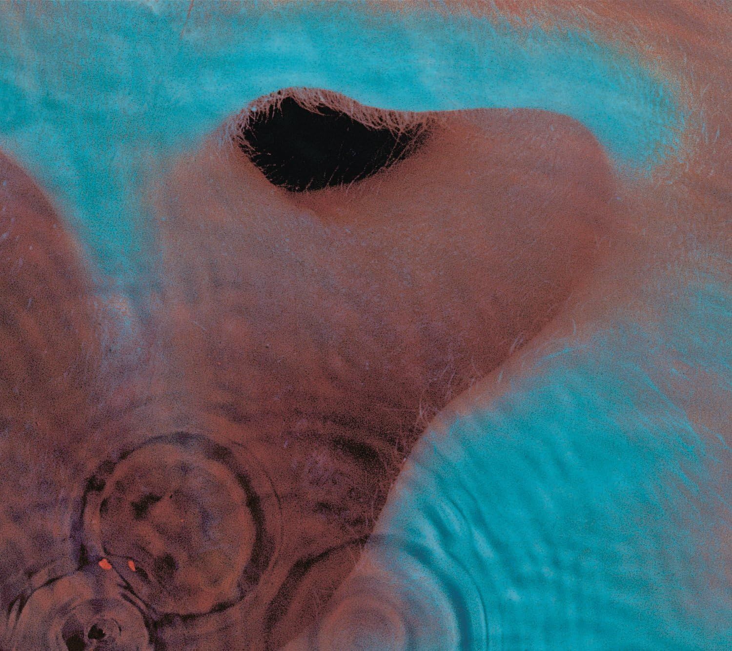Pink Floyd - Meddle (CD)